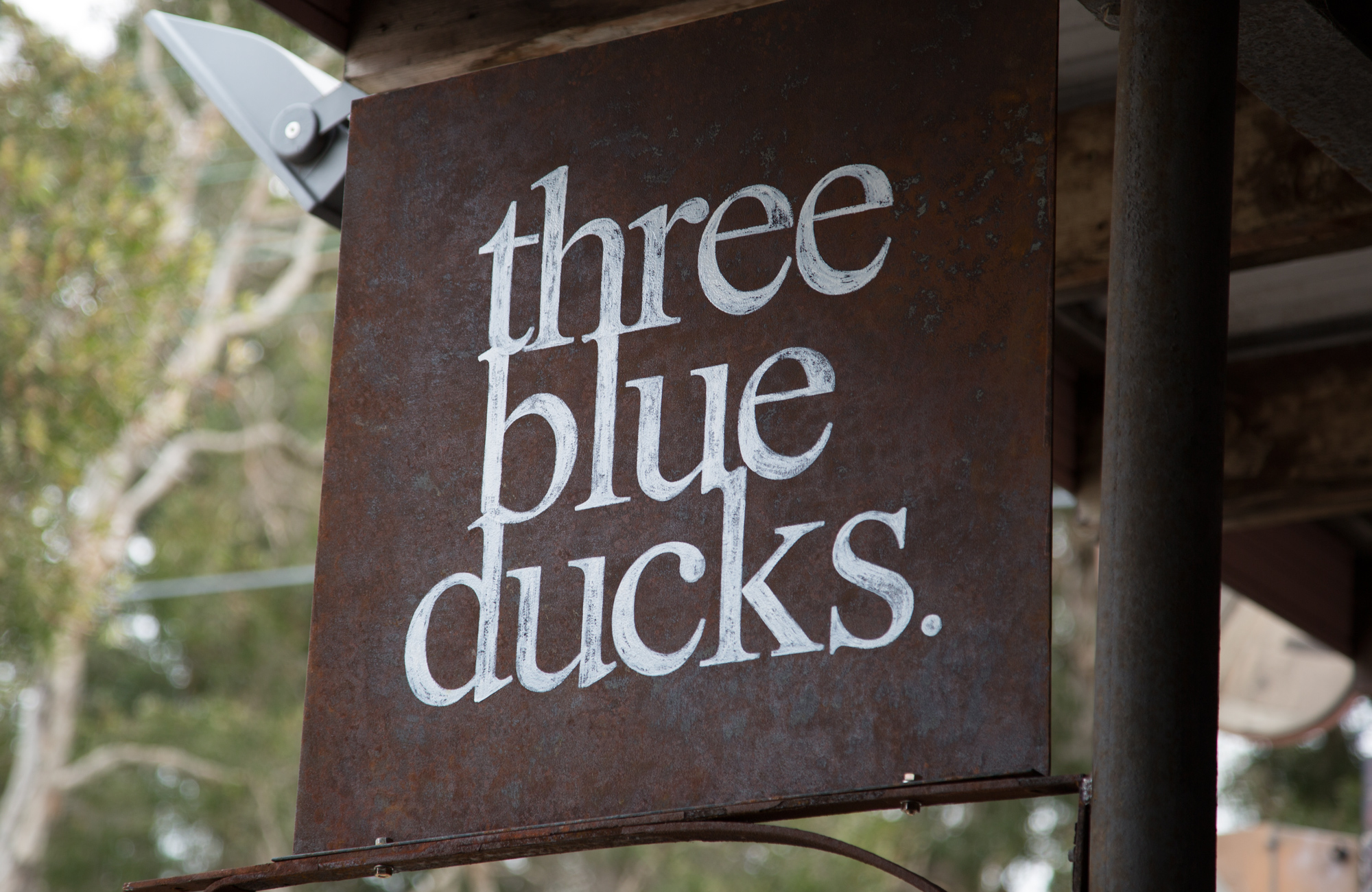 THREE BLUE DUCKS